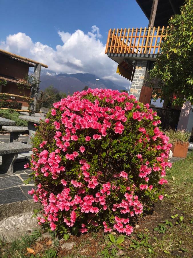Bed and Breakfast Al Grottino Gambarogno Экстерьер фото