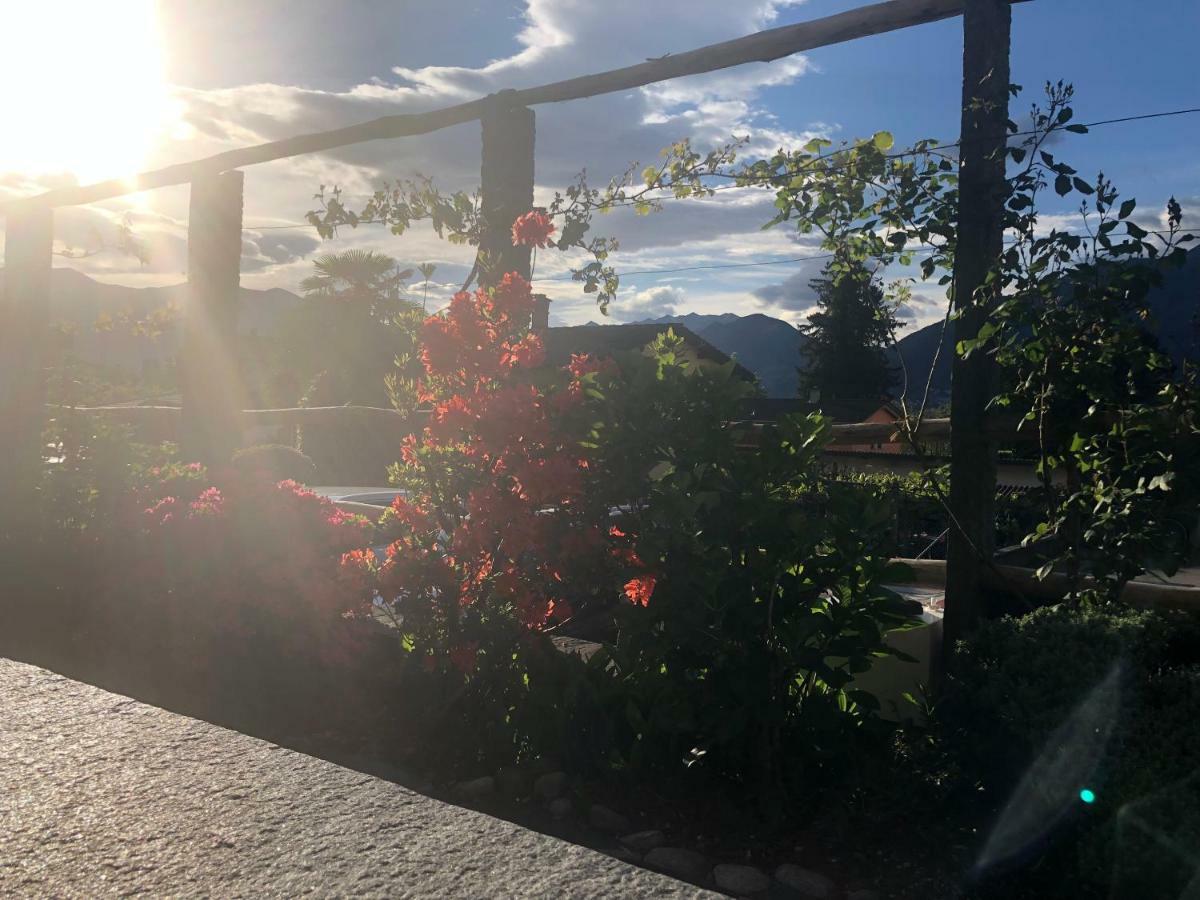 Bed and Breakfast Al Grottino Gambarogno Экстерьер фото